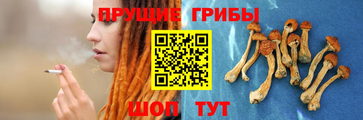 Псилоцибиновые грибы мухоморы Саров