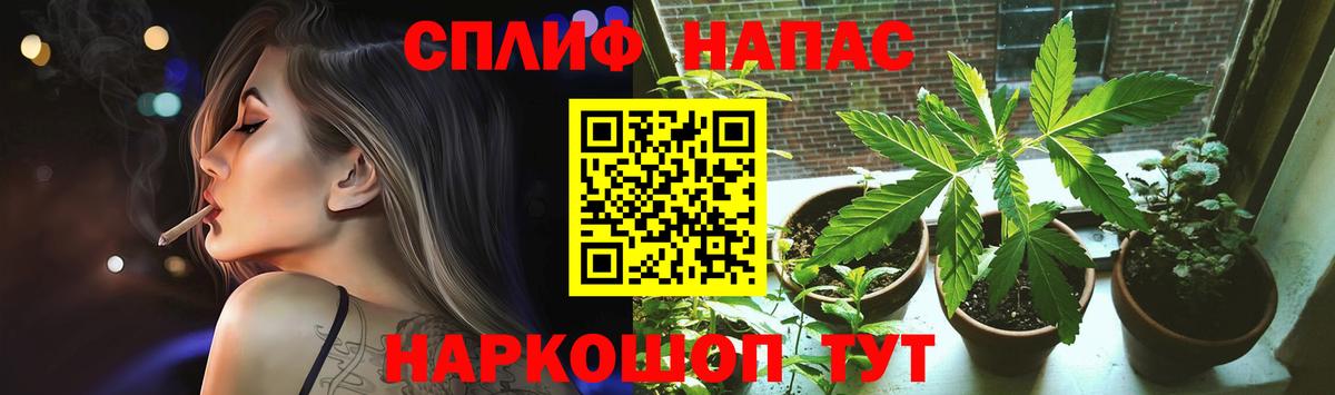 Саров  Каннабис Amnesia  Бошки марихуана план  Вход с VPN 